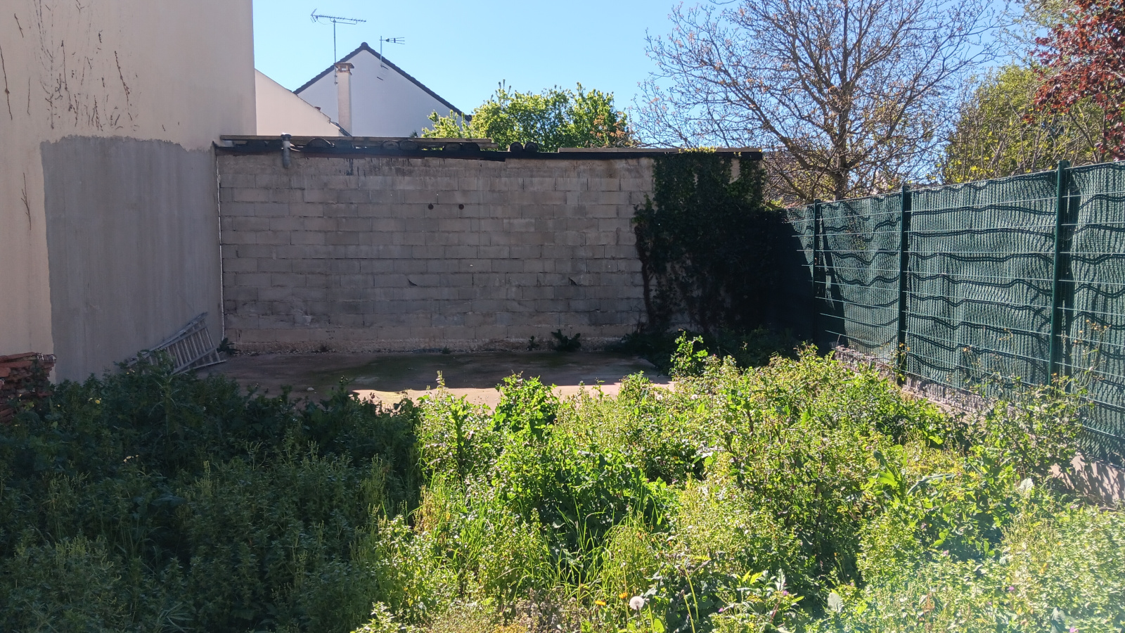 Image_, Maison, Villejuif, ref :AVAP10003757