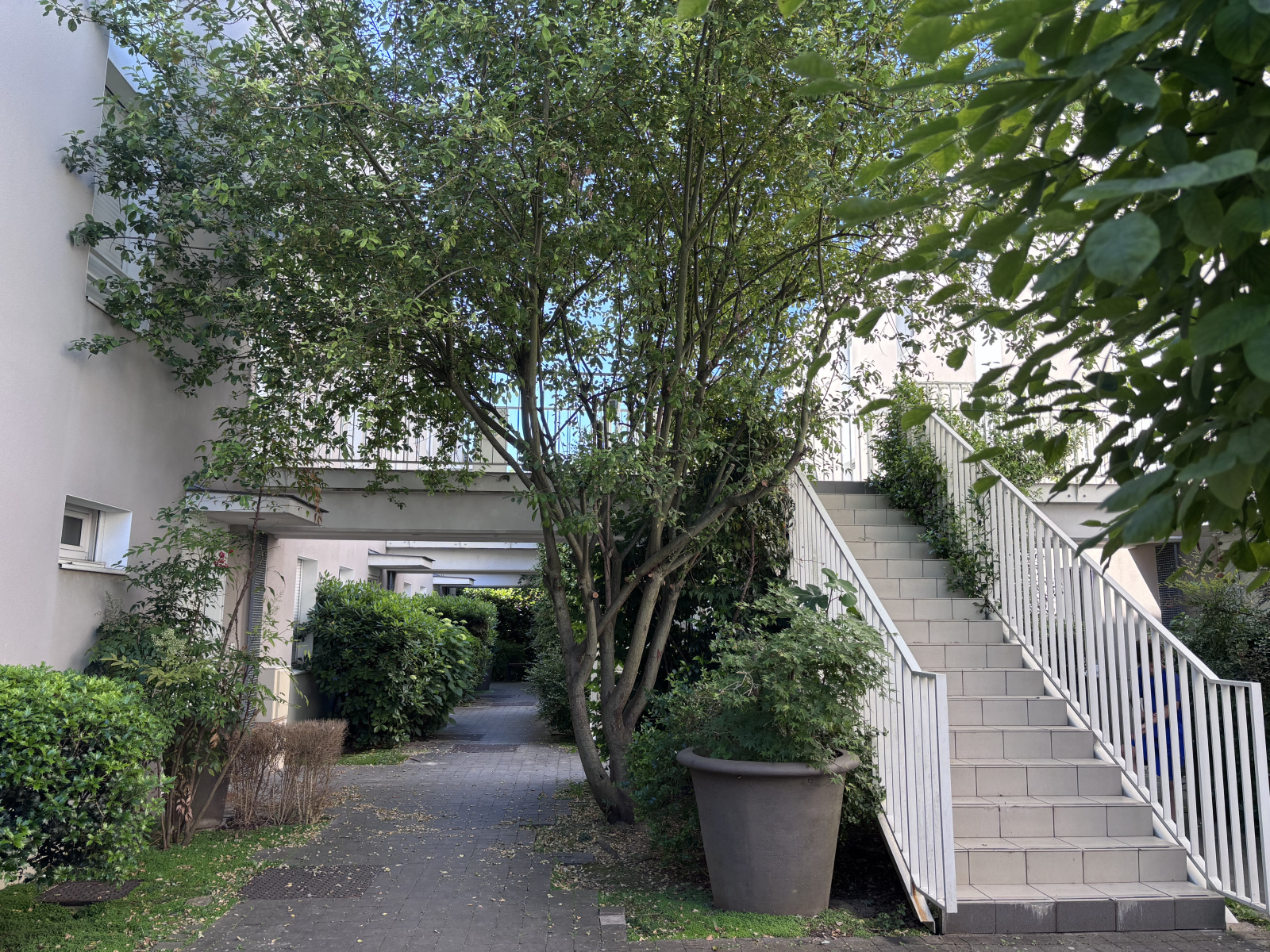 Image_, Rez de jardin, Vitry-sur-Seine, ref :ALRE10003766
