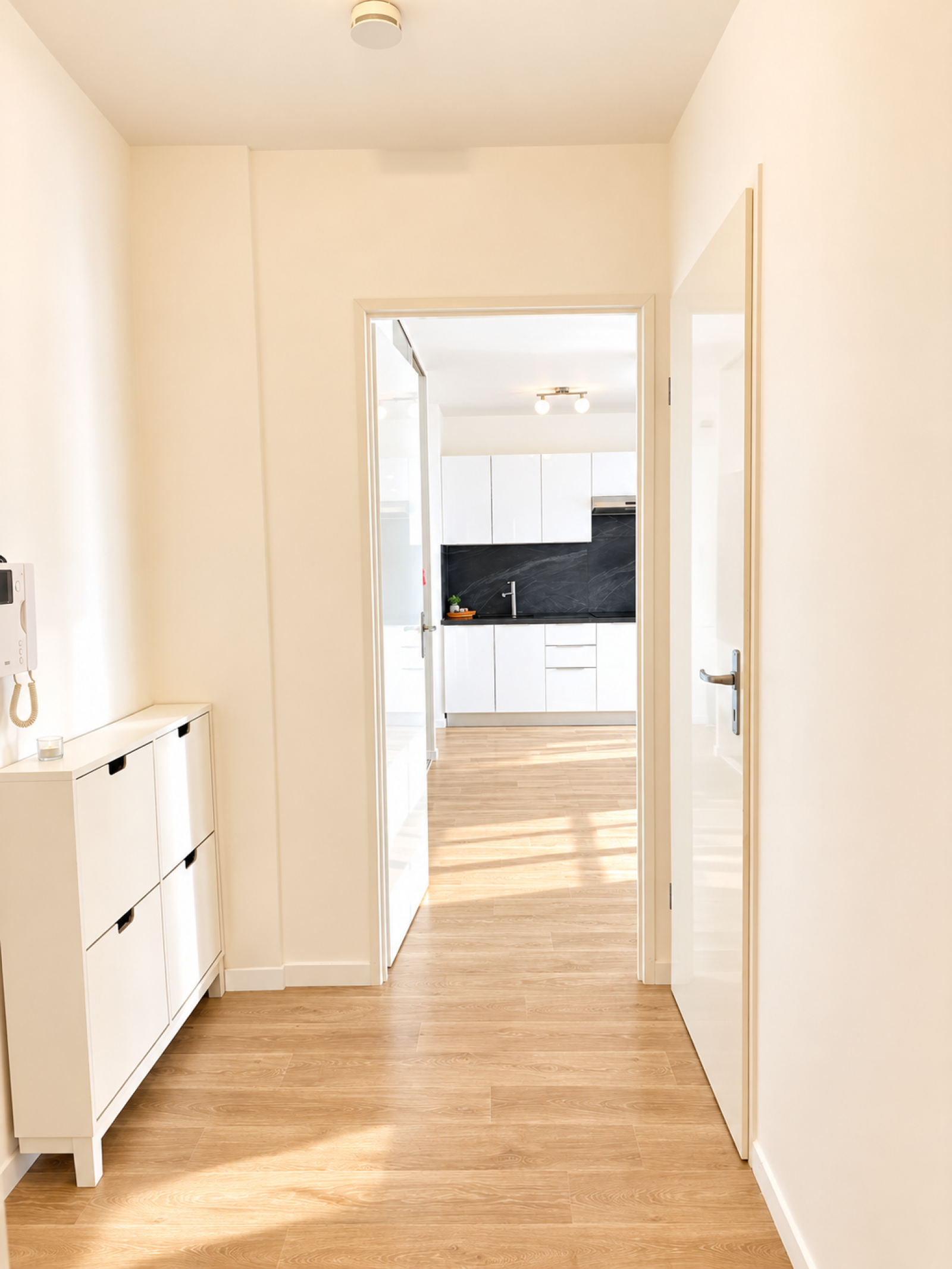Image_, Appartement, Choisy-le-Roi, ref :ALAP10003794