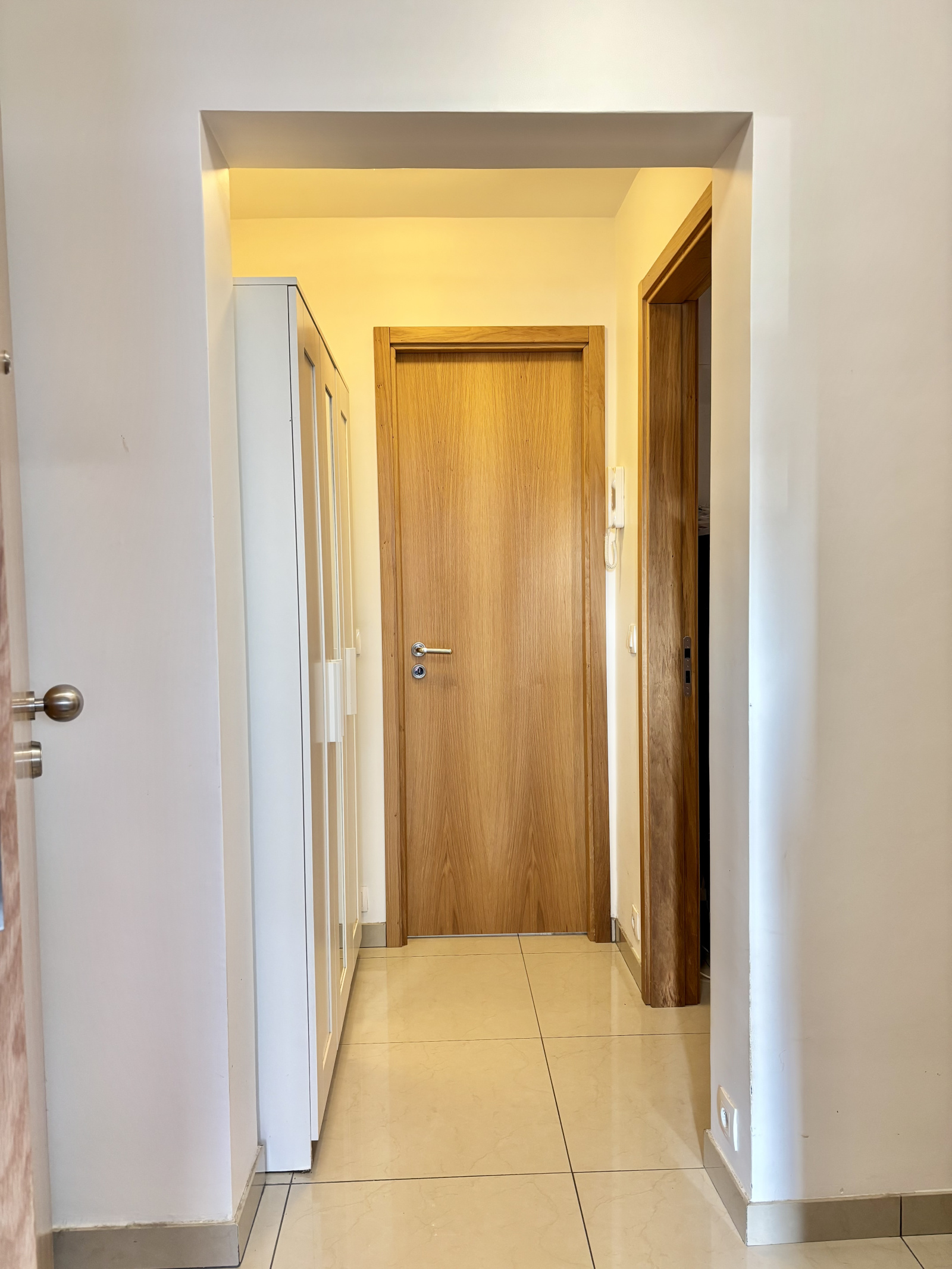 Image_, Appartement, Villejuif, ref :ALAP10003738