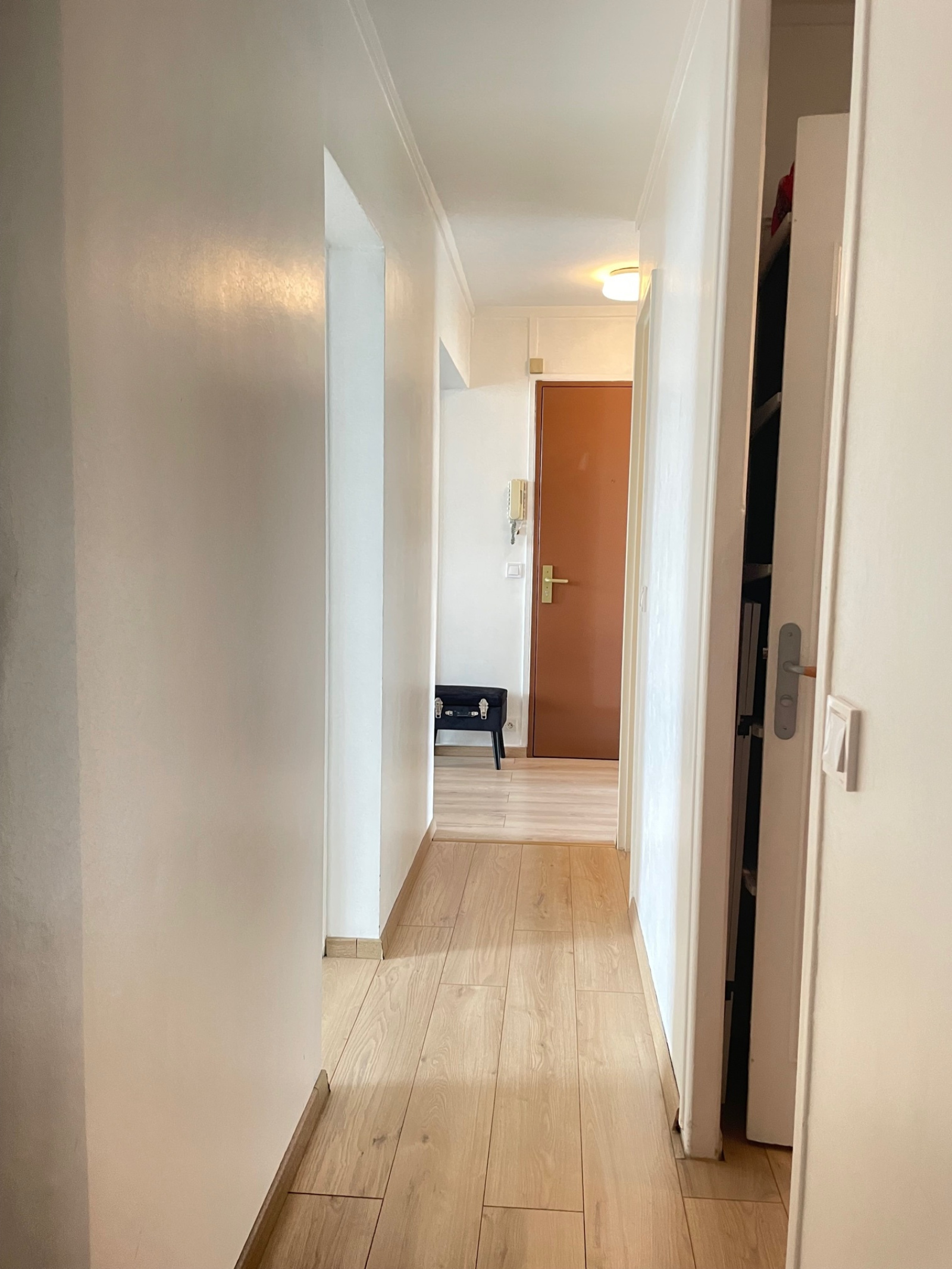 Image_, Appartement, Villejuif, ref :ALAP10003491