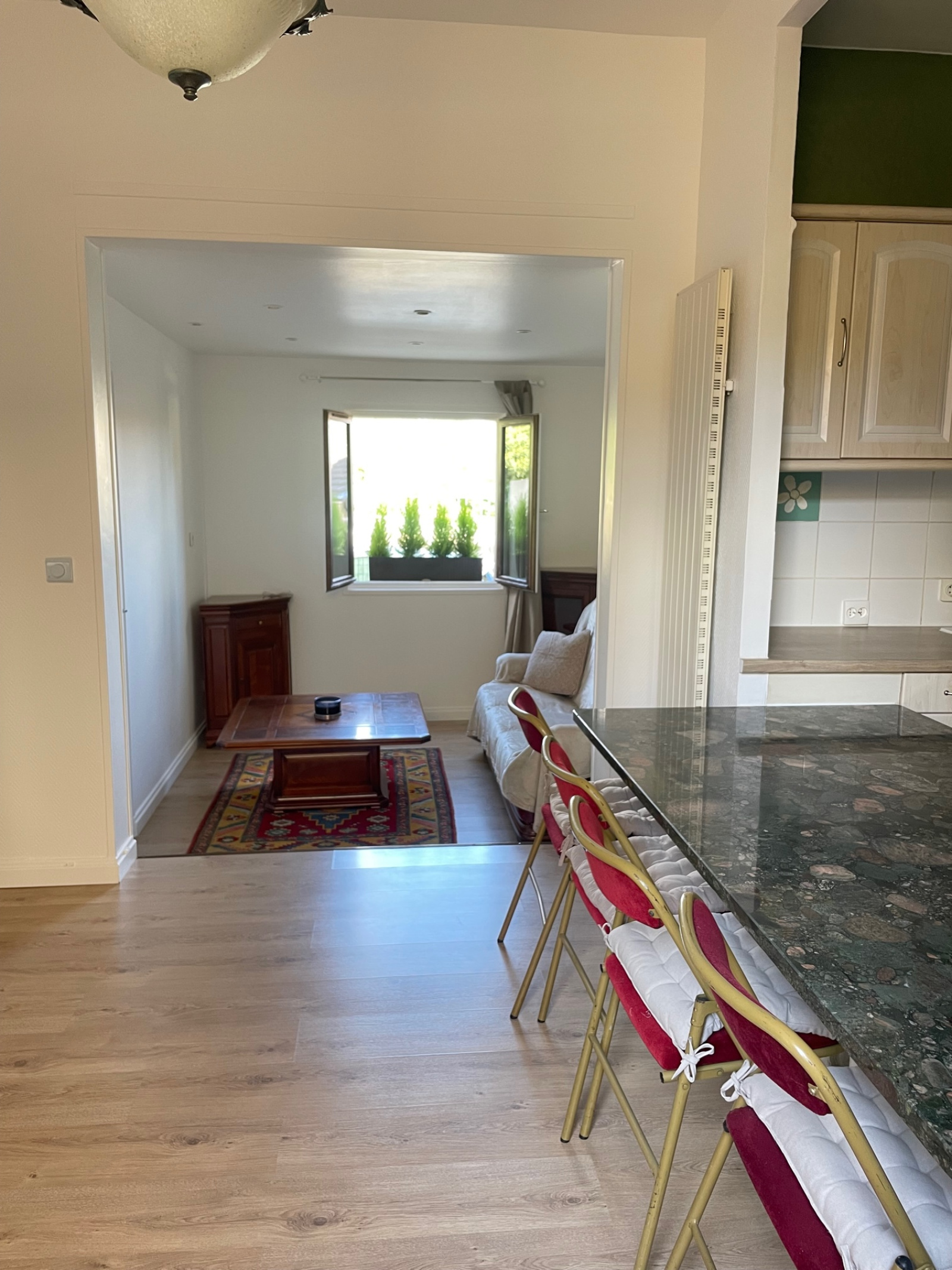 Image_, Appartement, Villejuif, ref :ALAP10003775