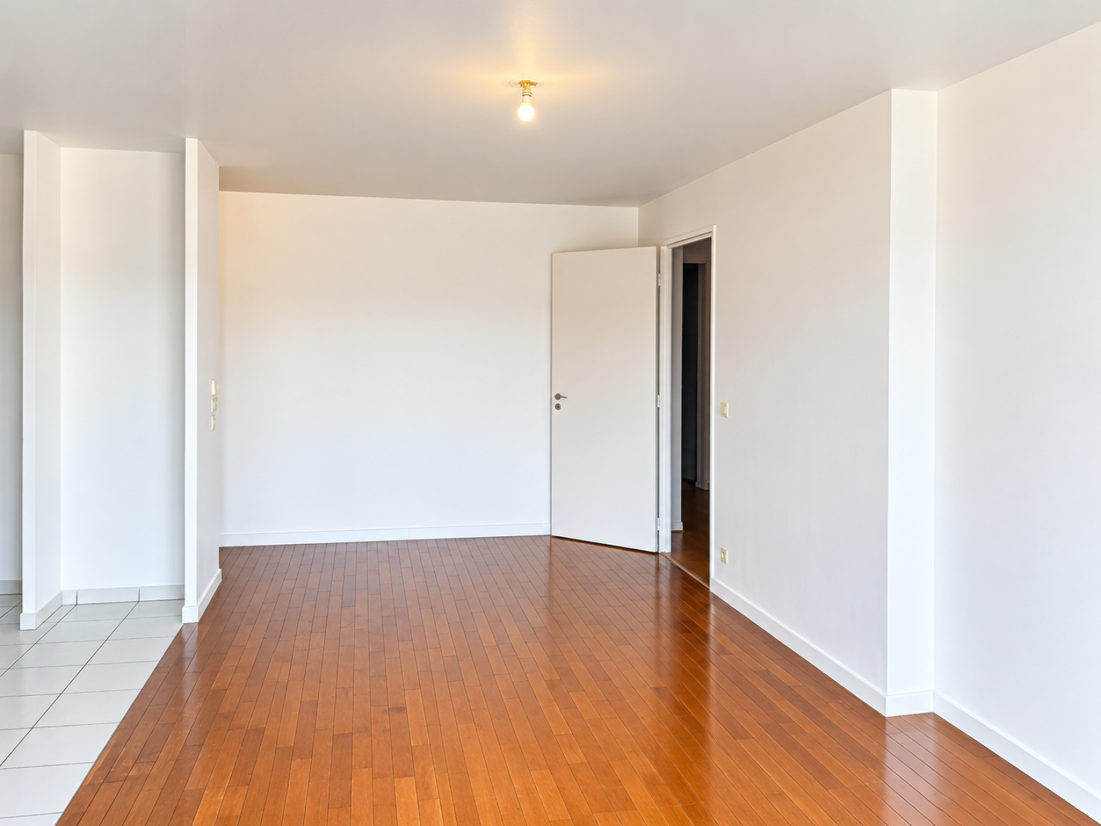 Image_, Appartement, Vitry-sur-Seine, ref :ALAP10003787