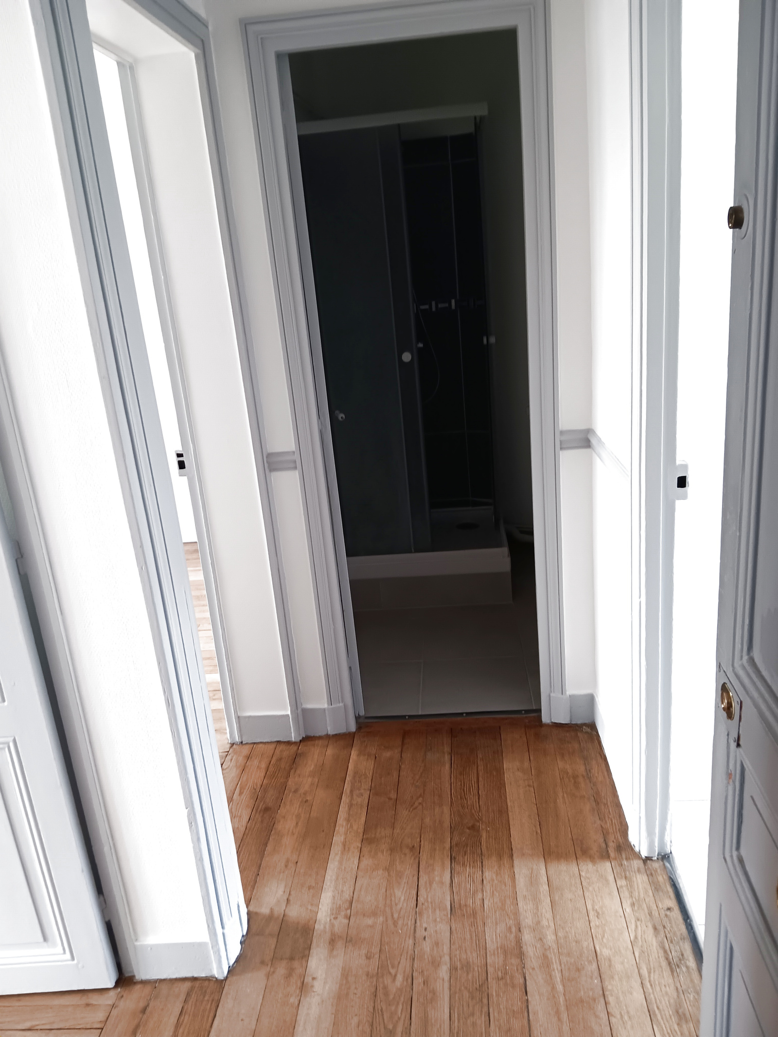 Image_, Appartement, Maisons-Alfort, ref :ALAP10003634