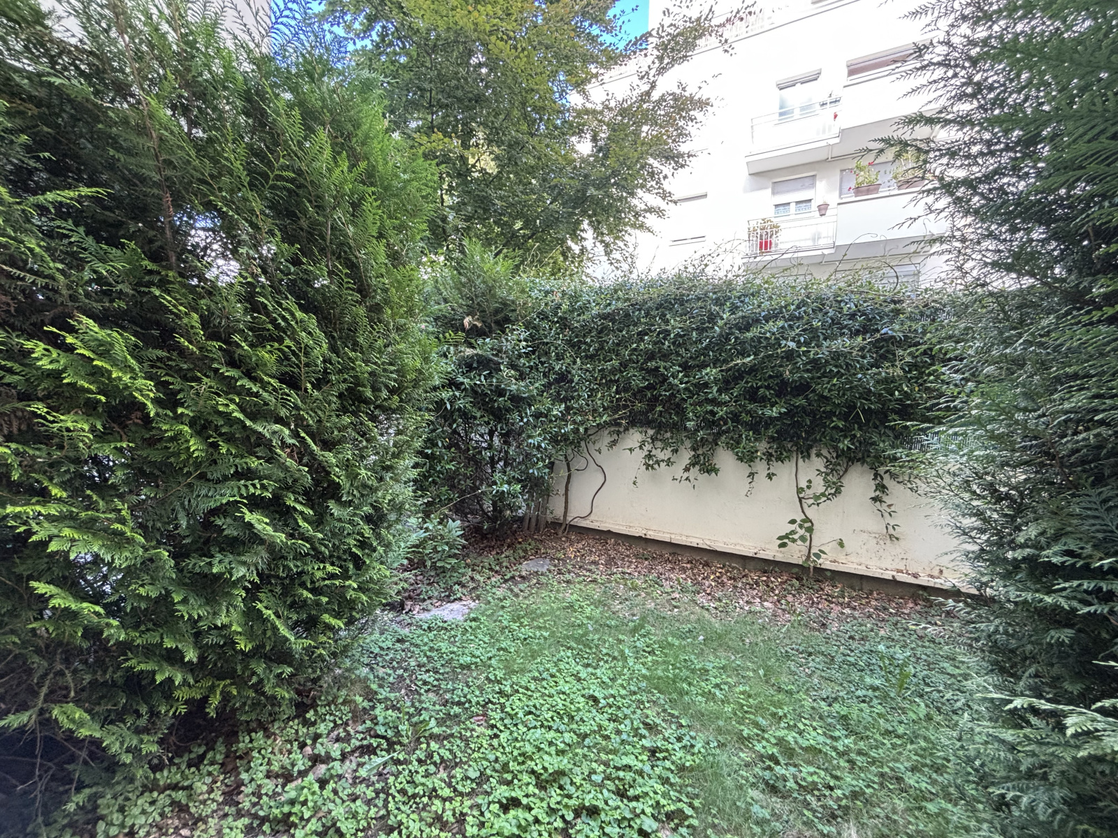 Image_, Appartement, Villejuif, ref :ALAP10003711
