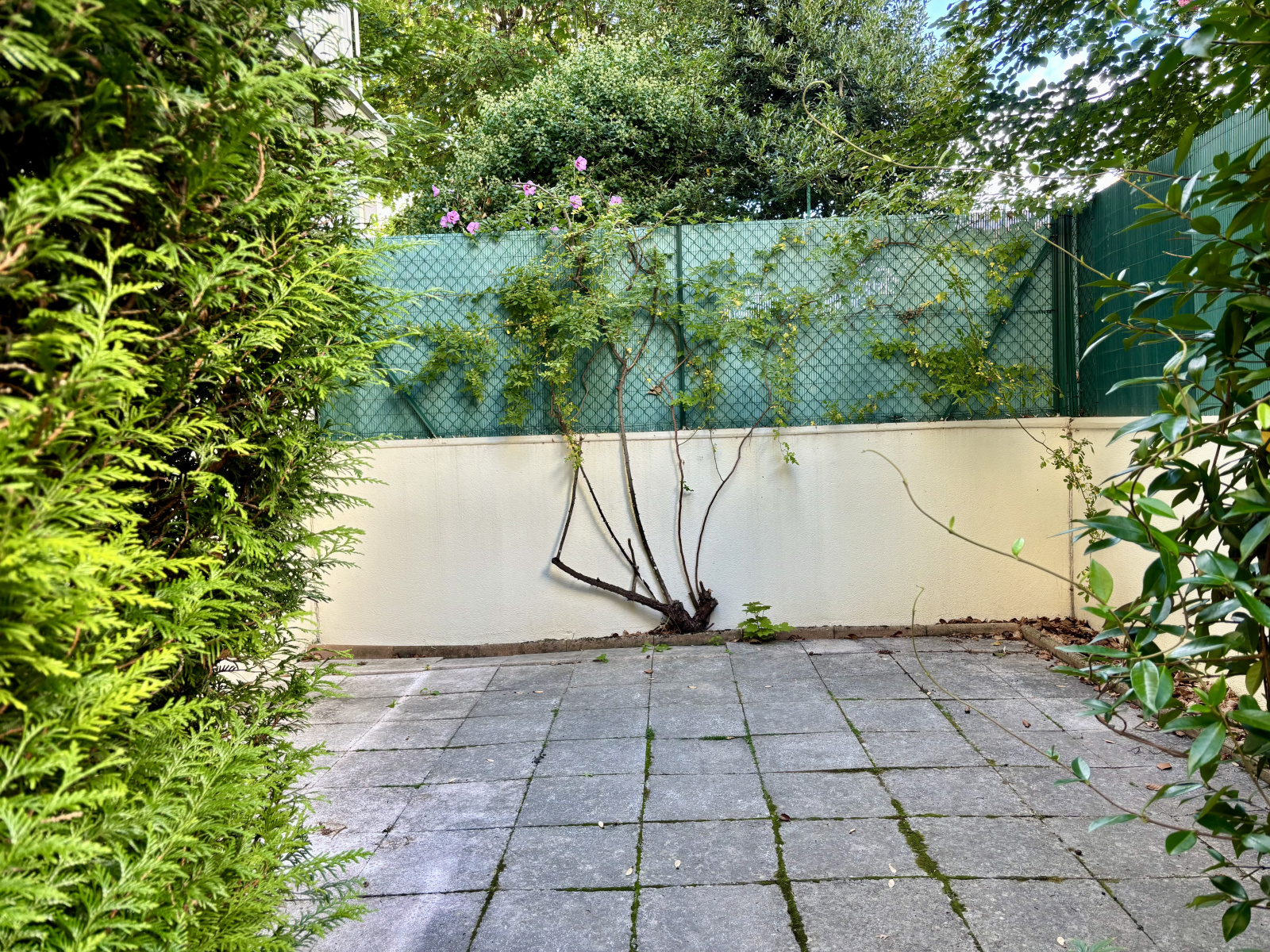Image_, Appartement, Villejuif, ref :ALAP10003711