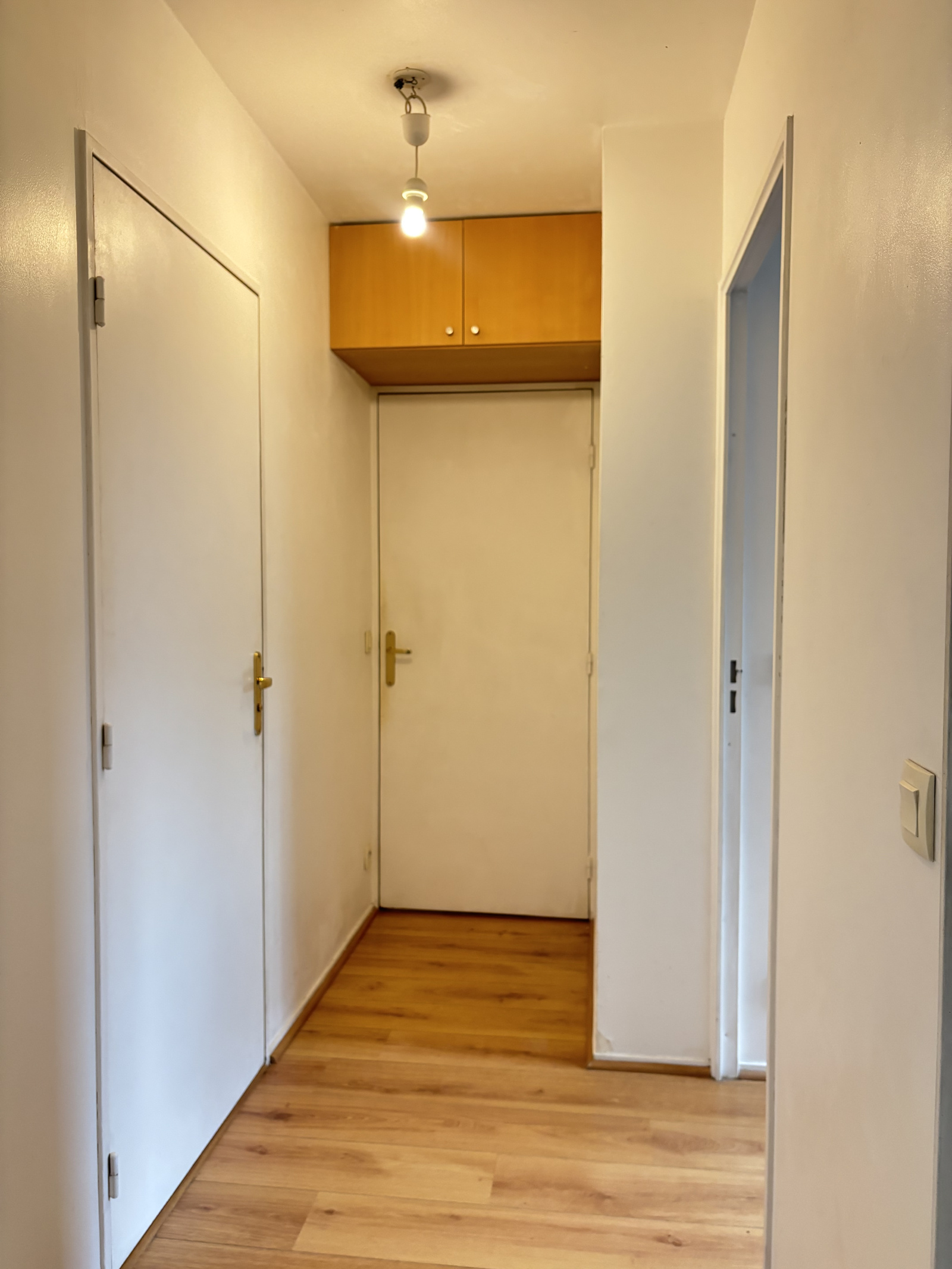 Image_, Appartement, Villejuif, ref :ALAP10003711