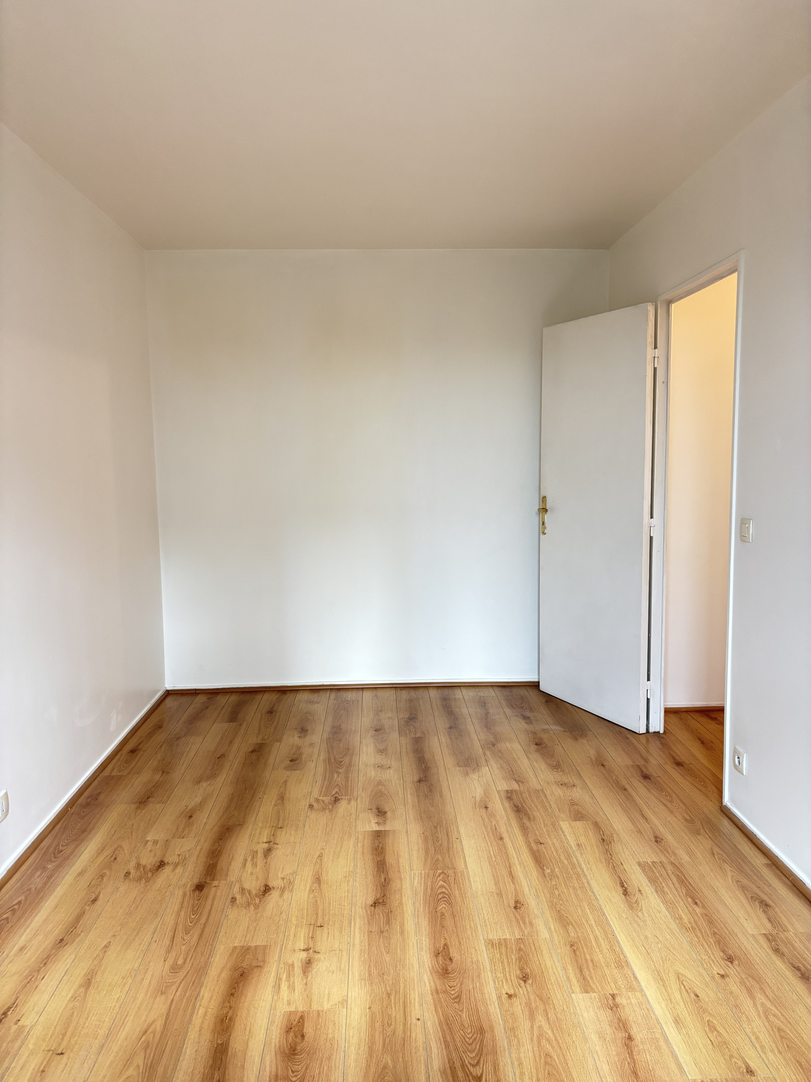 Image_, Appartement, Villejuif, ref :ALAP10003711