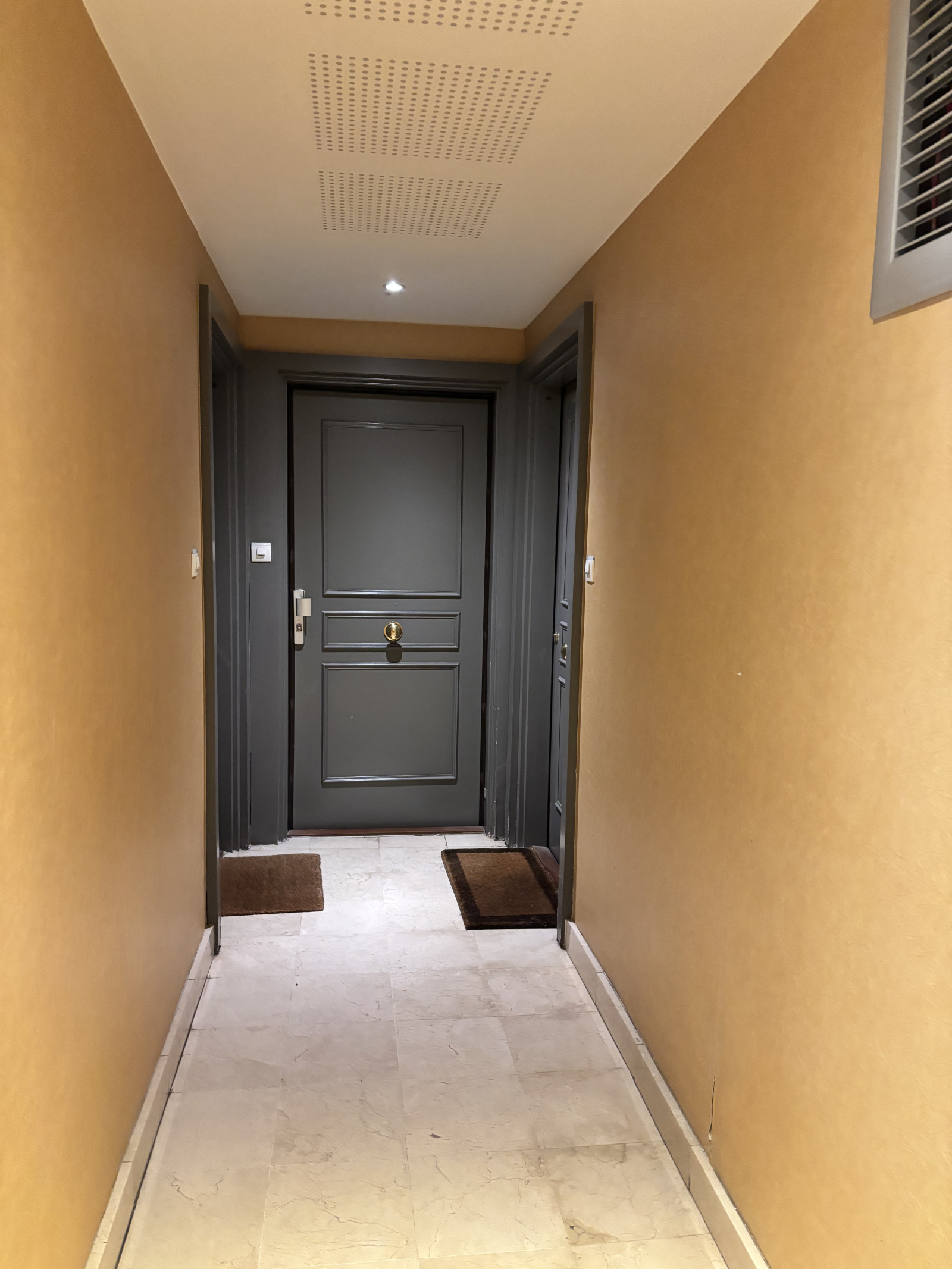 Image_, Appartement, Villejuif, ref :AVAP10003752