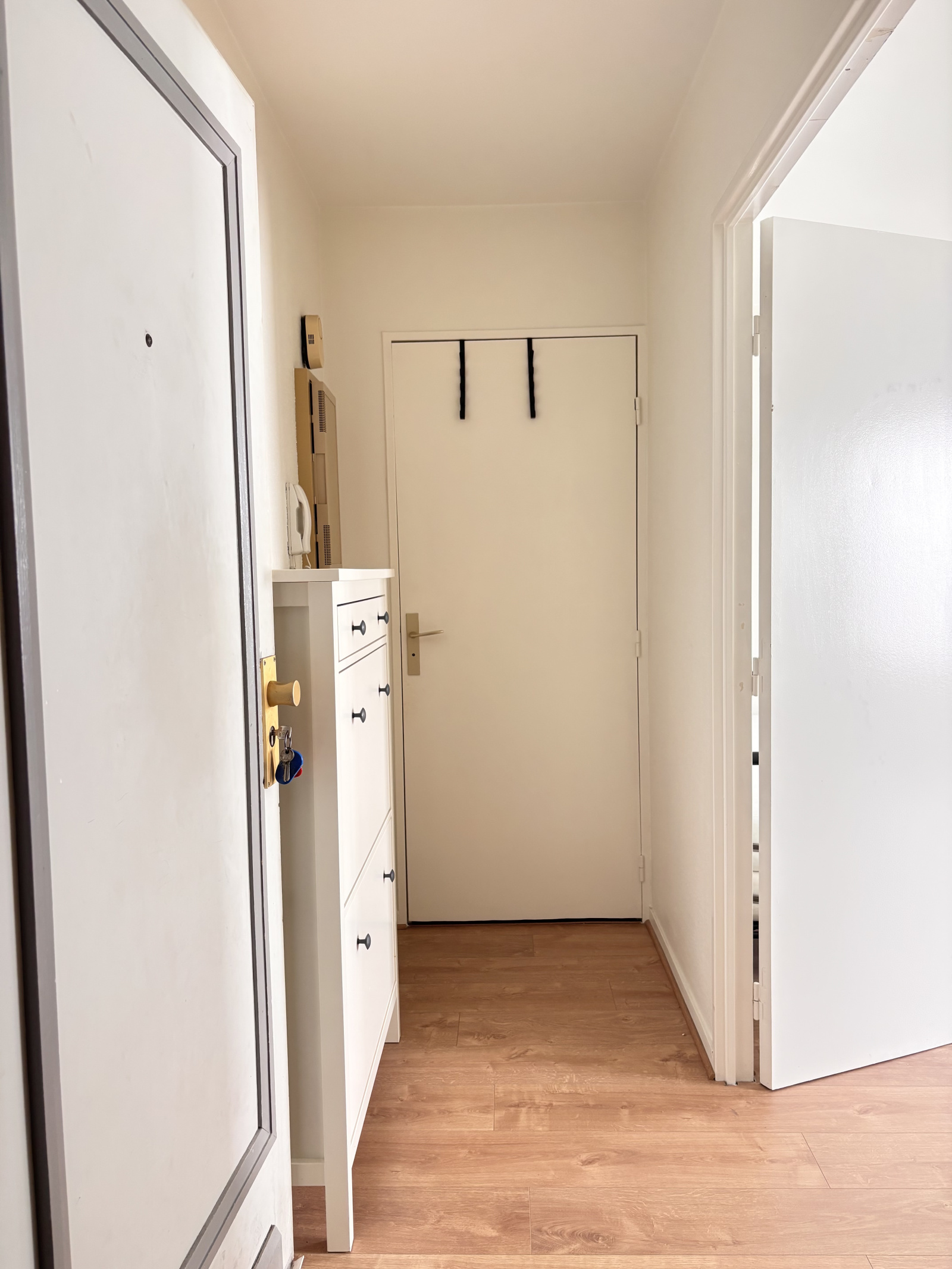 Image_, Appartement, Paris, ref :ALAP10003786