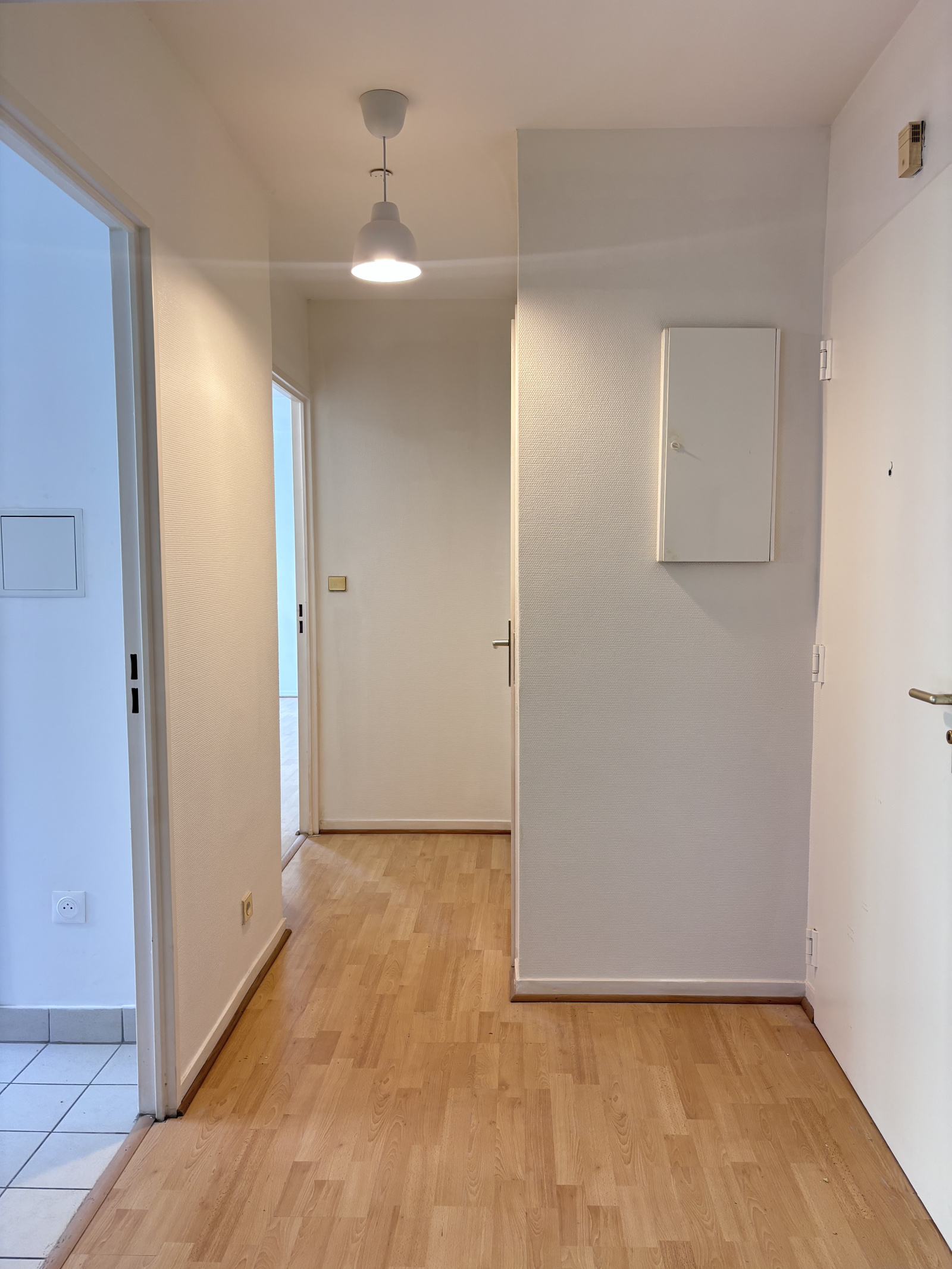 Image_, Appartement, Paris, ref :ALAP10003764